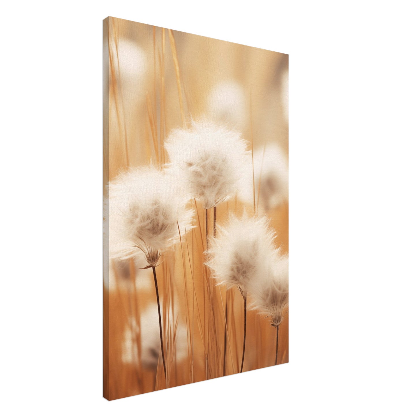Cotton Calm Leinwand 60x90 cm - Pixara