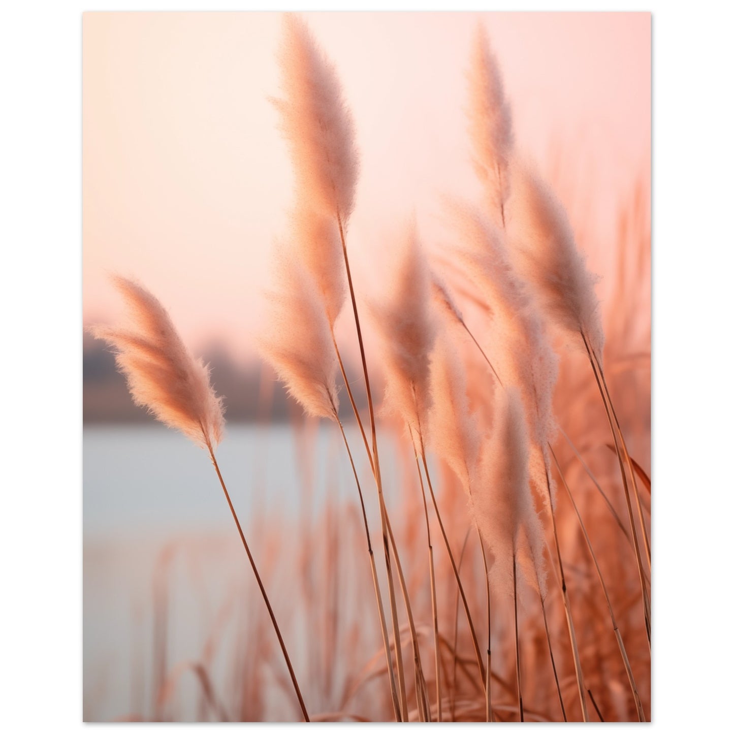 Flüstern des Abendrots Poster 40x50 cm - Pixara