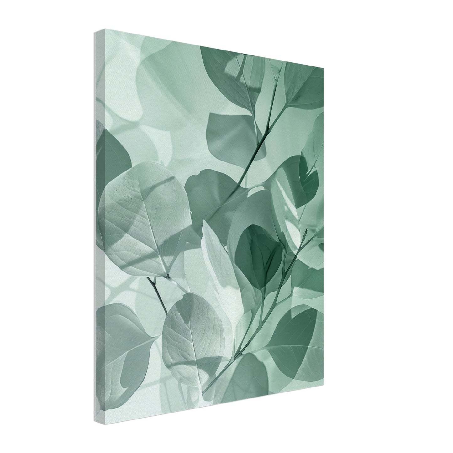 Eukalyptus-Träume Leinwand 40x50 cm - Pixara