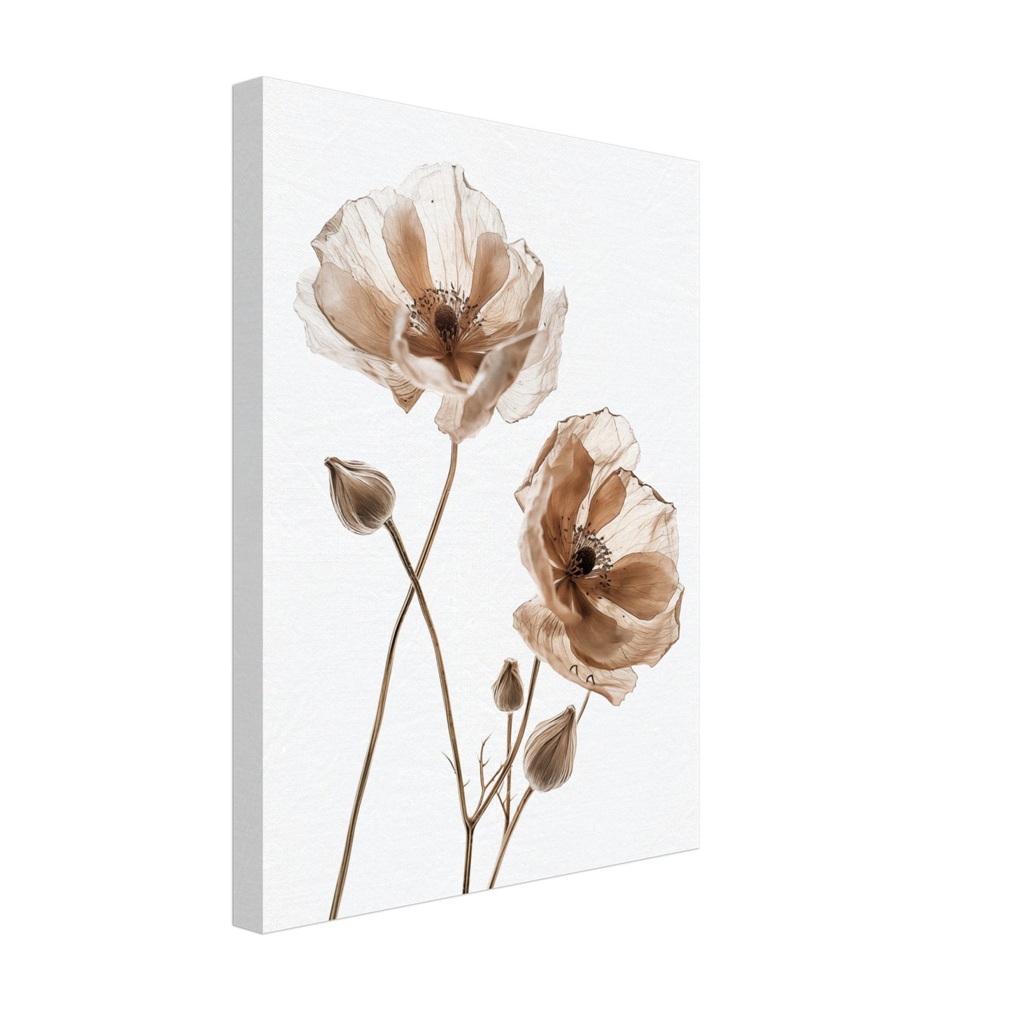 Delicate Dried Blooms Leinwand 30x40 cm - Pixara
