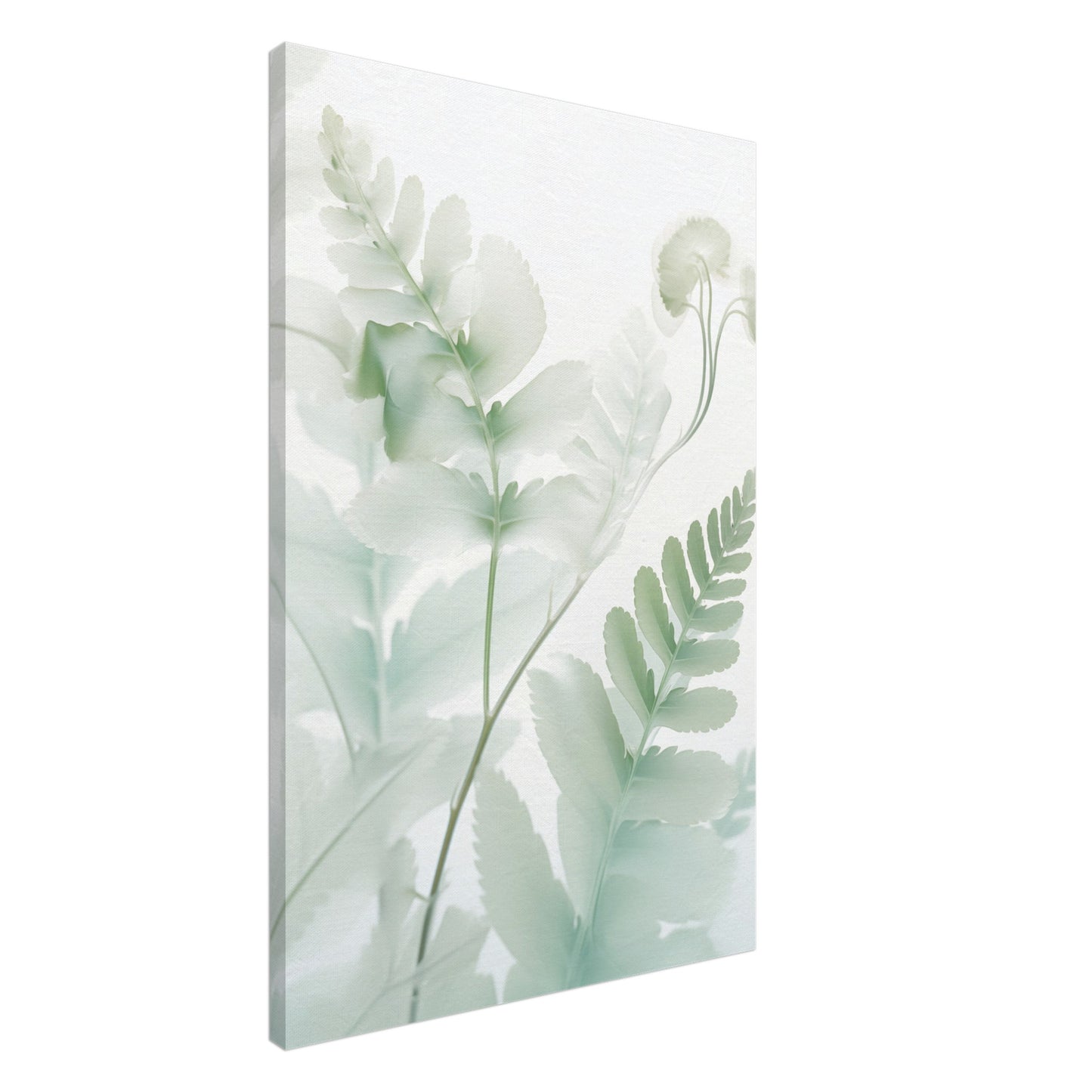Farn Leinwand 60x90 cm - Pixara