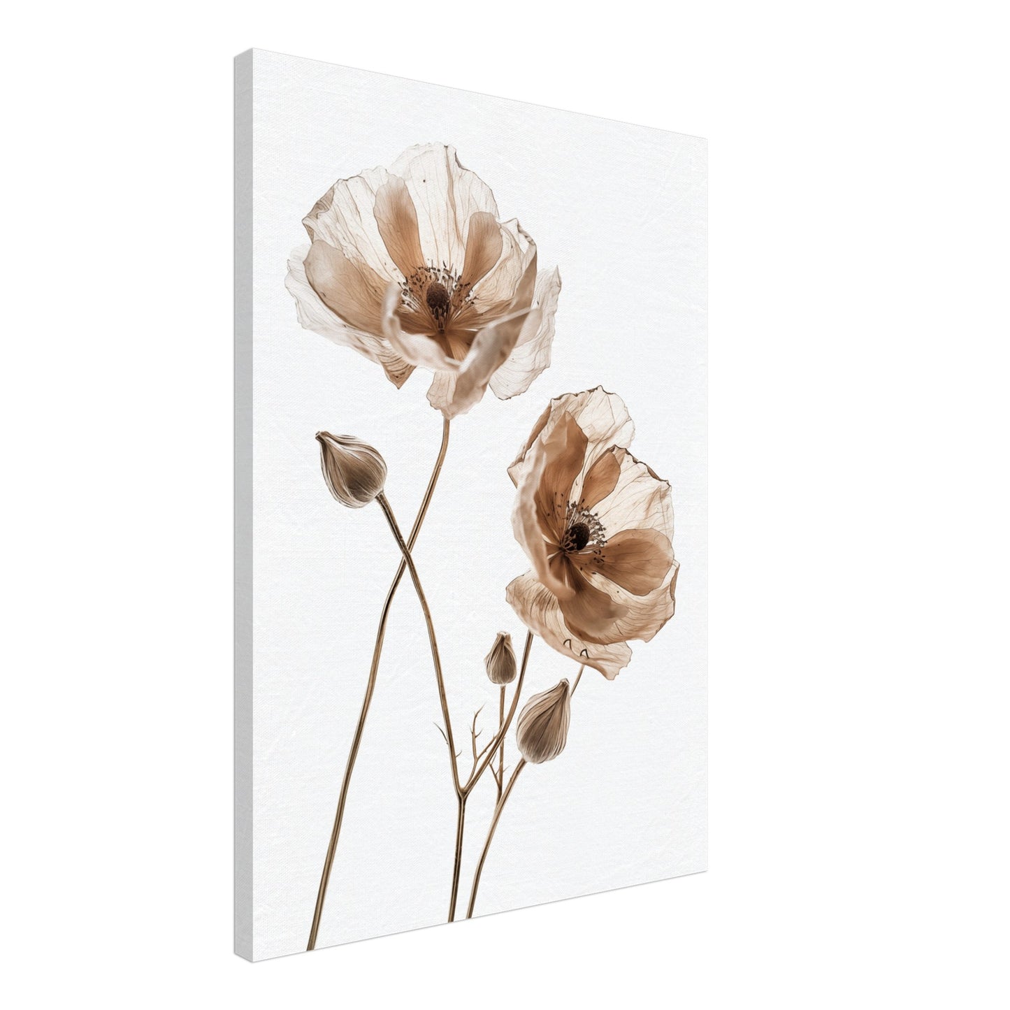 Delicate Dried Blooms Leinwand 50x70 cm - Pixara