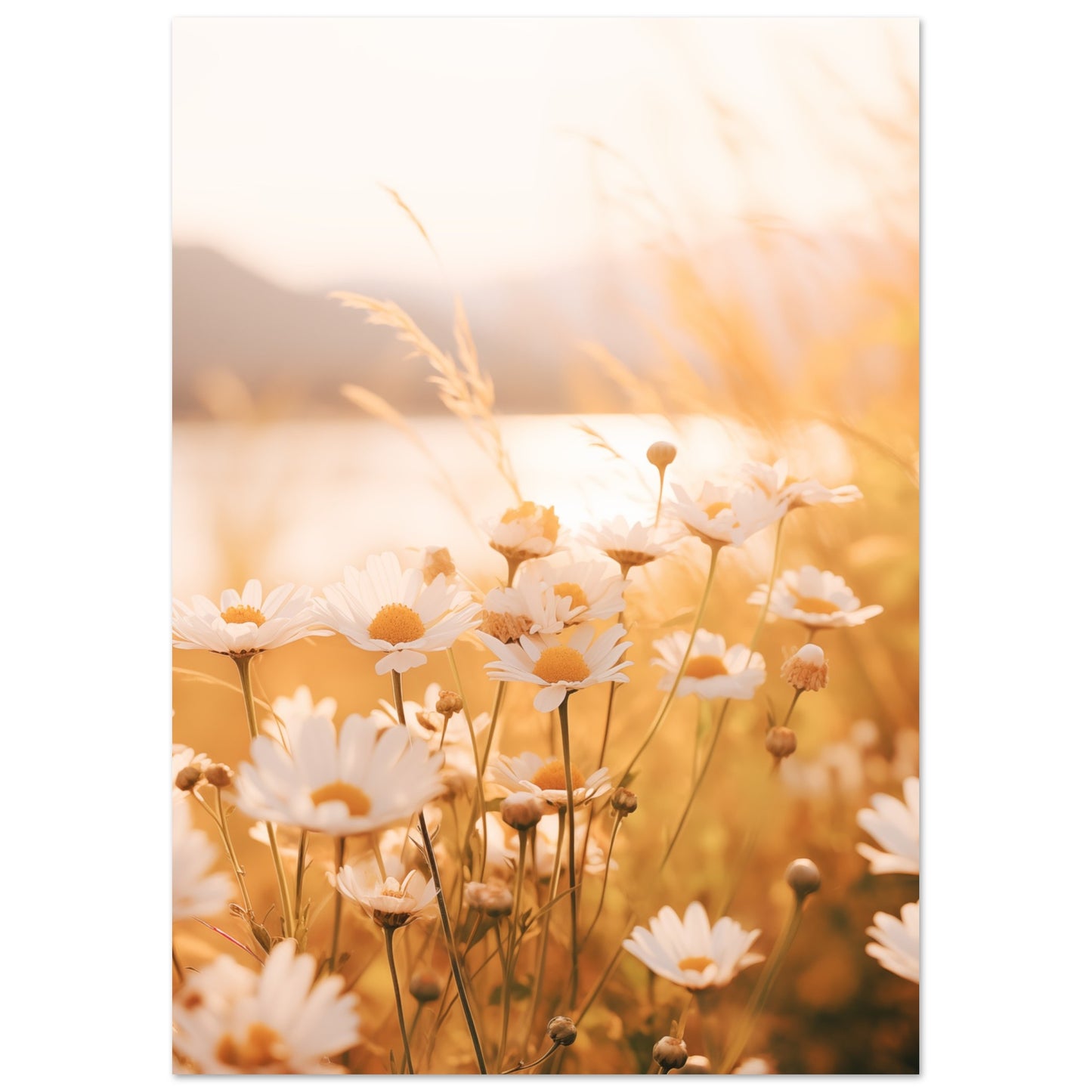 Abendleuchten Poster A4 21x29.7 cm - Pixara