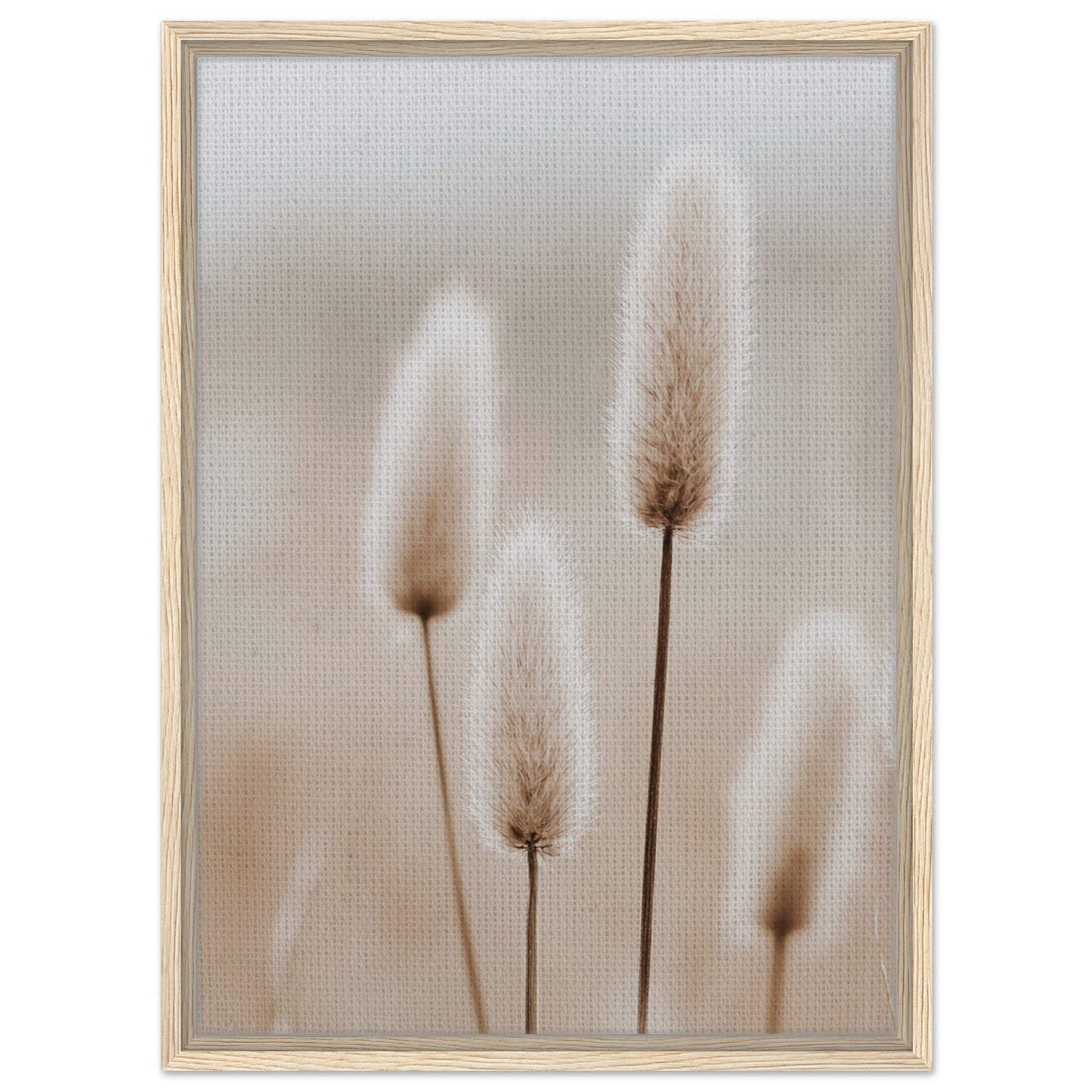 Hasenschwanzgräser in sanften Tönen | Gerahmte Leinwand Holzrahmen 50x70 cm - Pixara