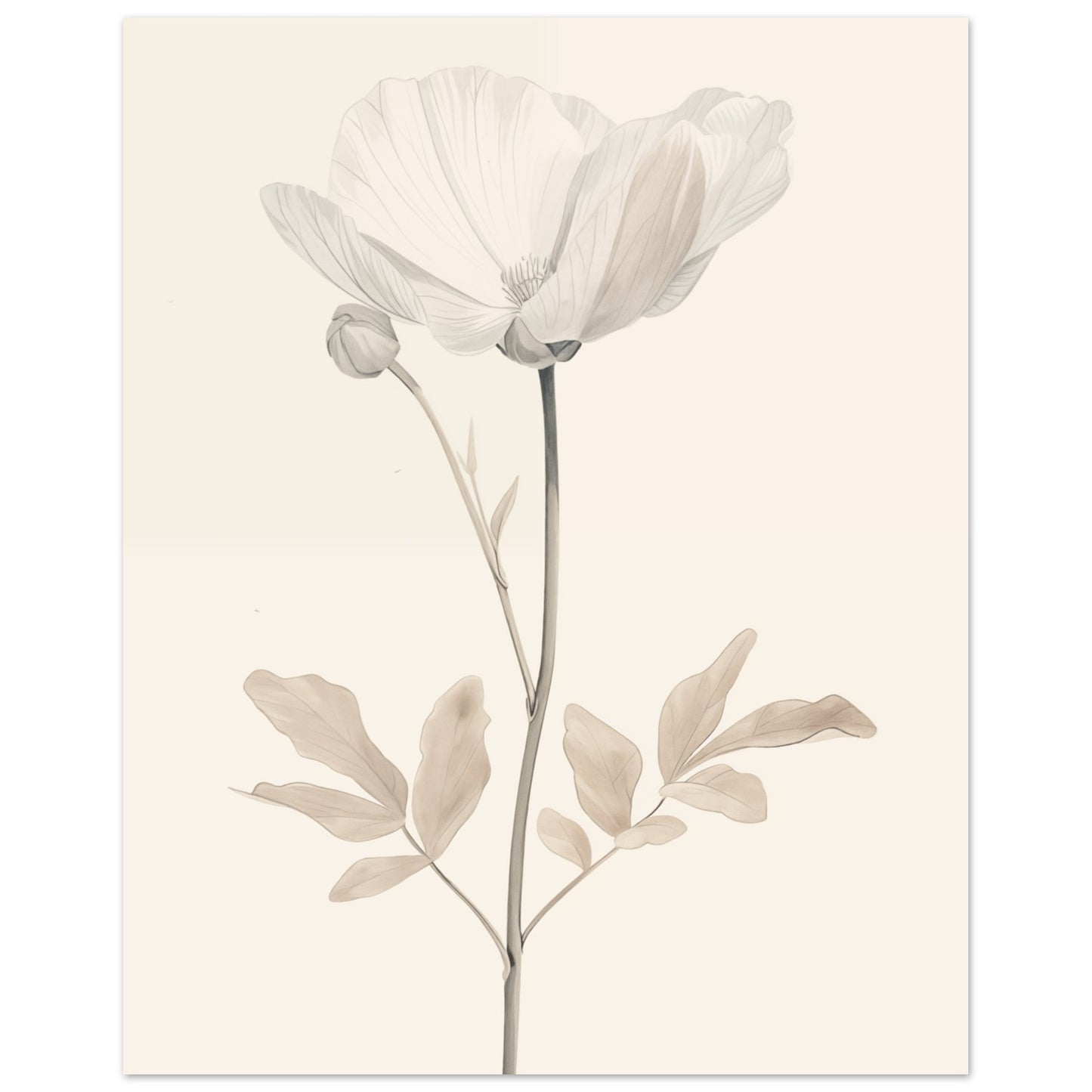Zarte Blüte 40x50 cm - Pixara