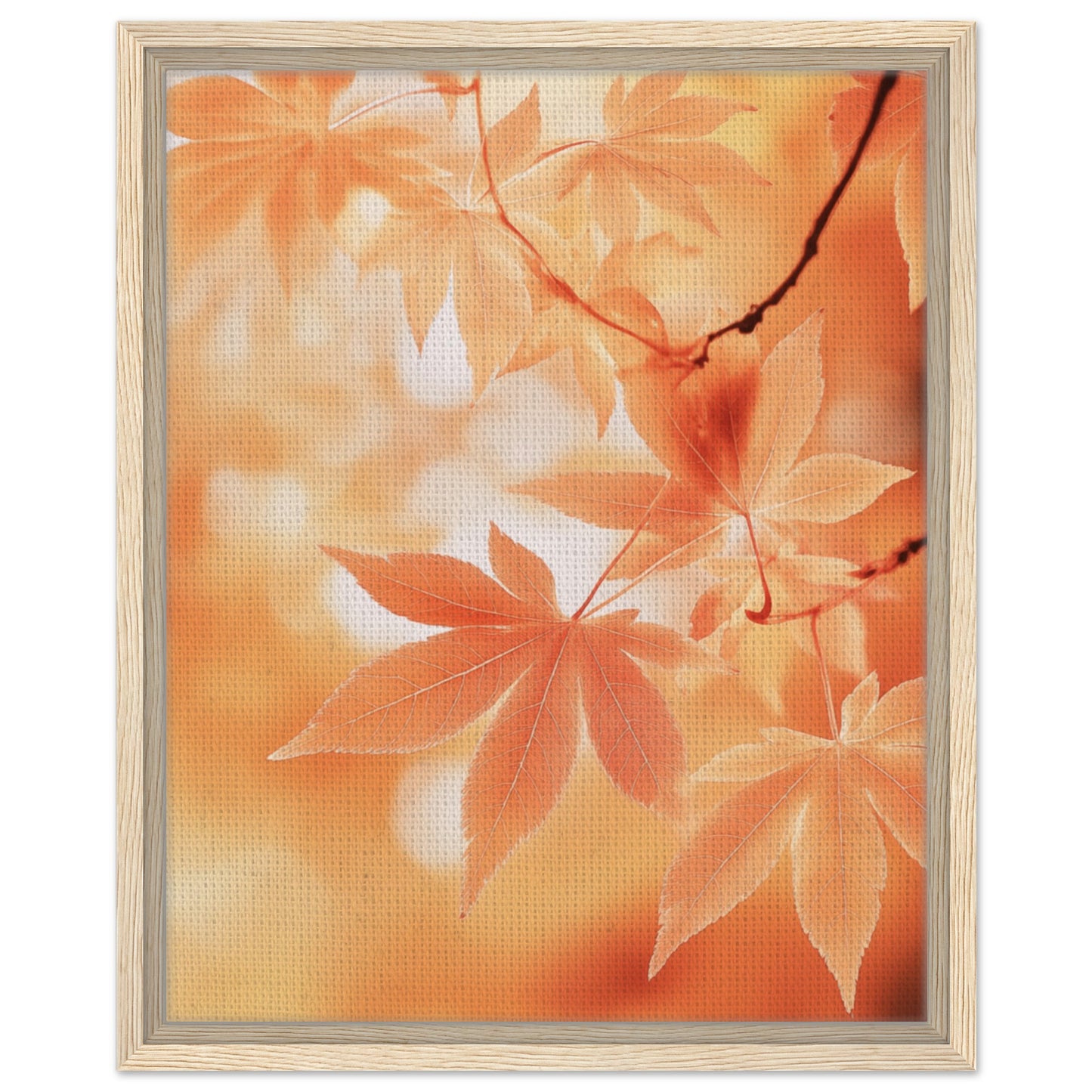 Japanischer Ahorn im Herbstlicht | Gerahmte Leinwand Holzrahmen 40x50 cm - Pixara