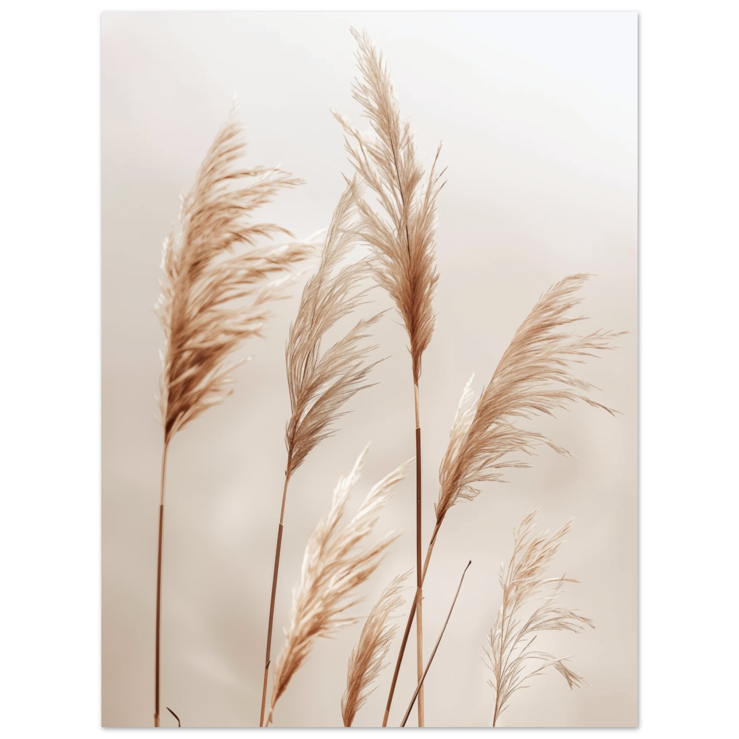 Weiche Gräser im Wind 30x40 cm - Pixara