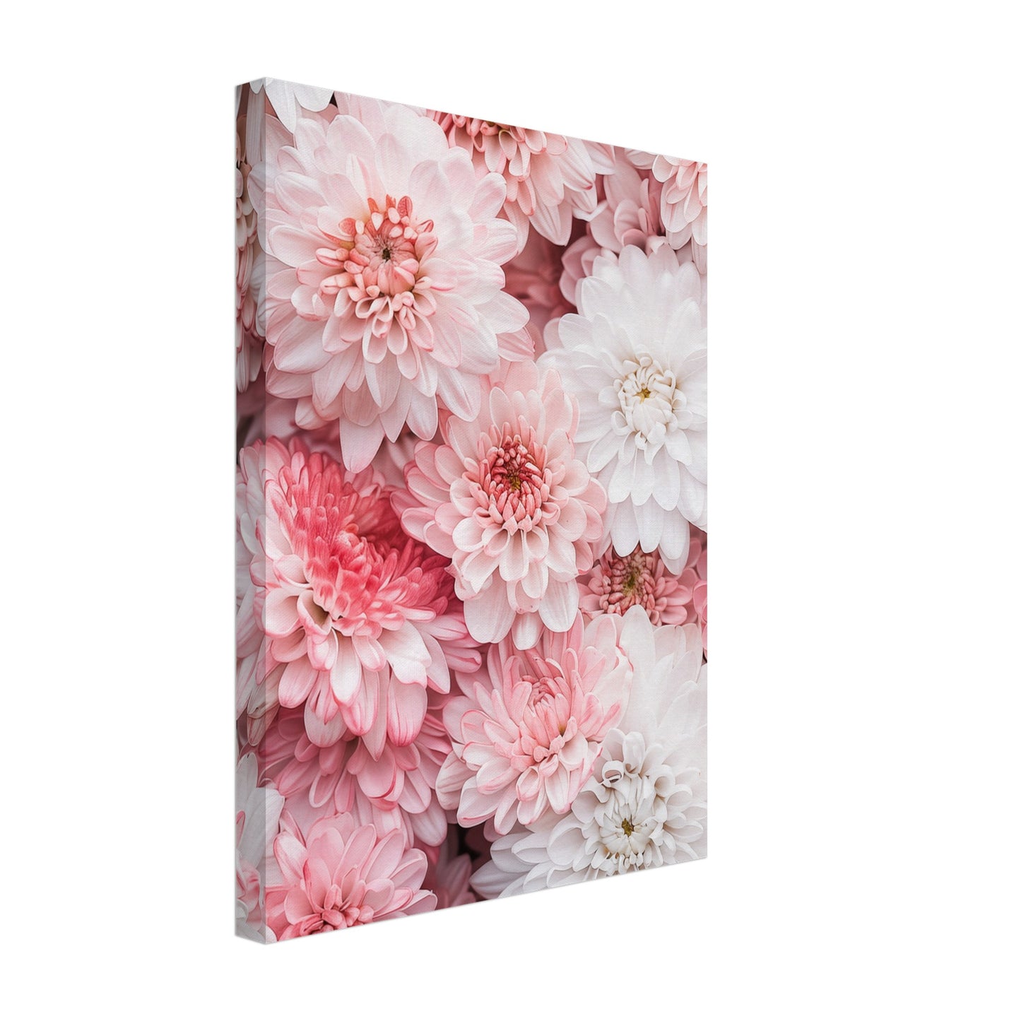 Chrysanthemen-Pracht Leinwand 30x40 cm - Pixara