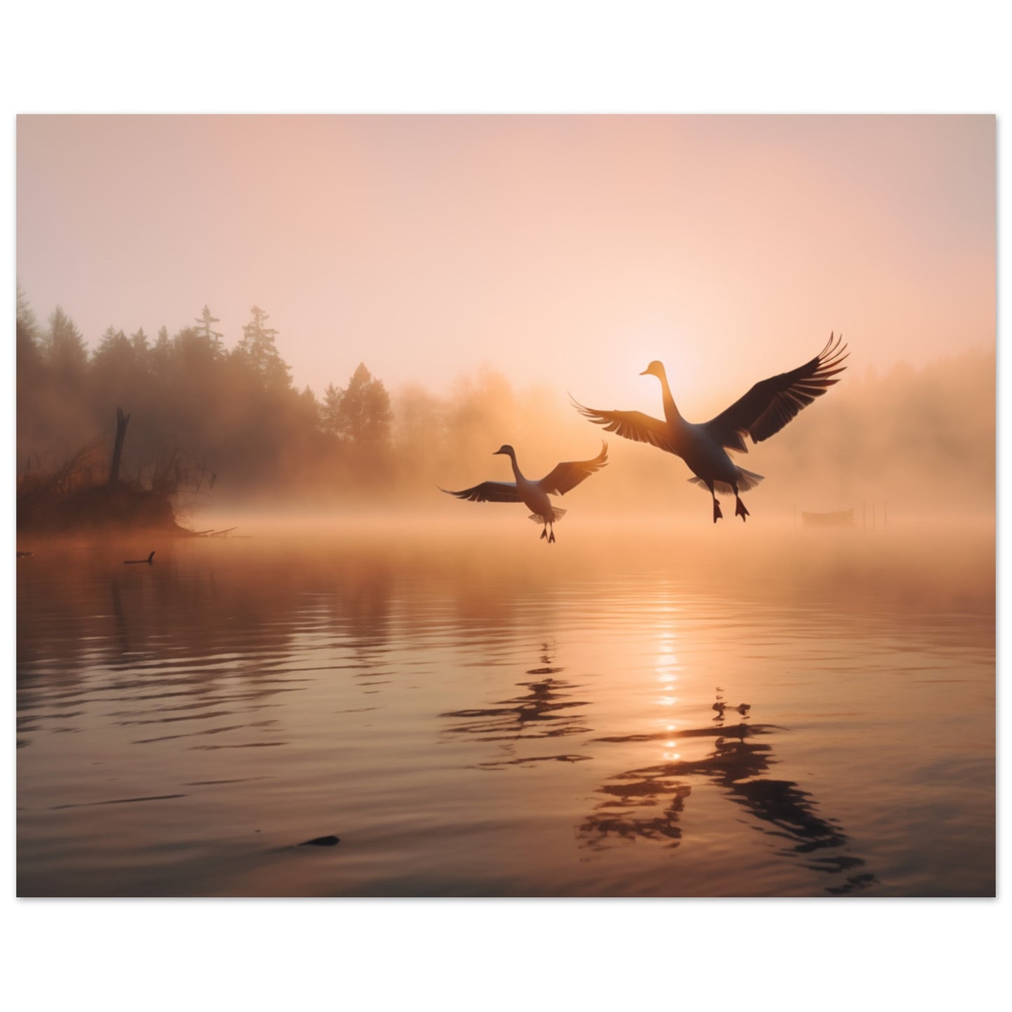 Morgendämmerung am See Poster 40x50 cm - Pixara