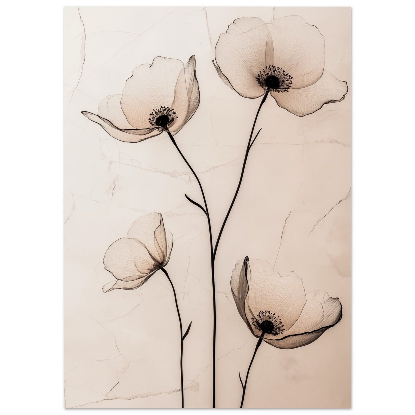 Zarte Mohnblüten 50x70 cm - Pixara