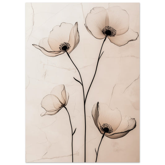 Zarte Mohnblüten 50x70 cm - Pixara