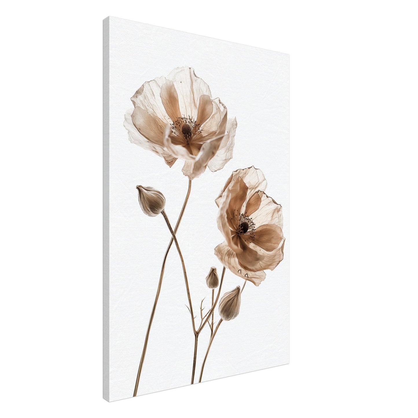 Delicate Dried Blooms Leinwand 60x90 cm - Pixara