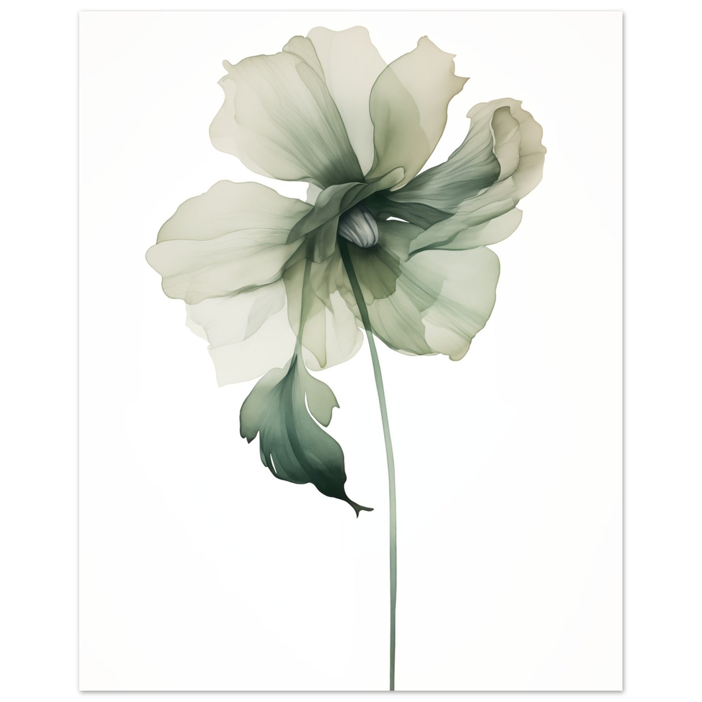 Grüne Anmut Poster 20x25 cm - Pixara