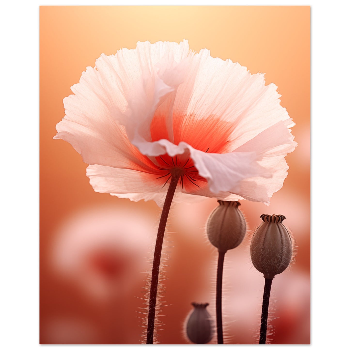 Sanfte Entfaltung Poster 20x25 cm - Pixara