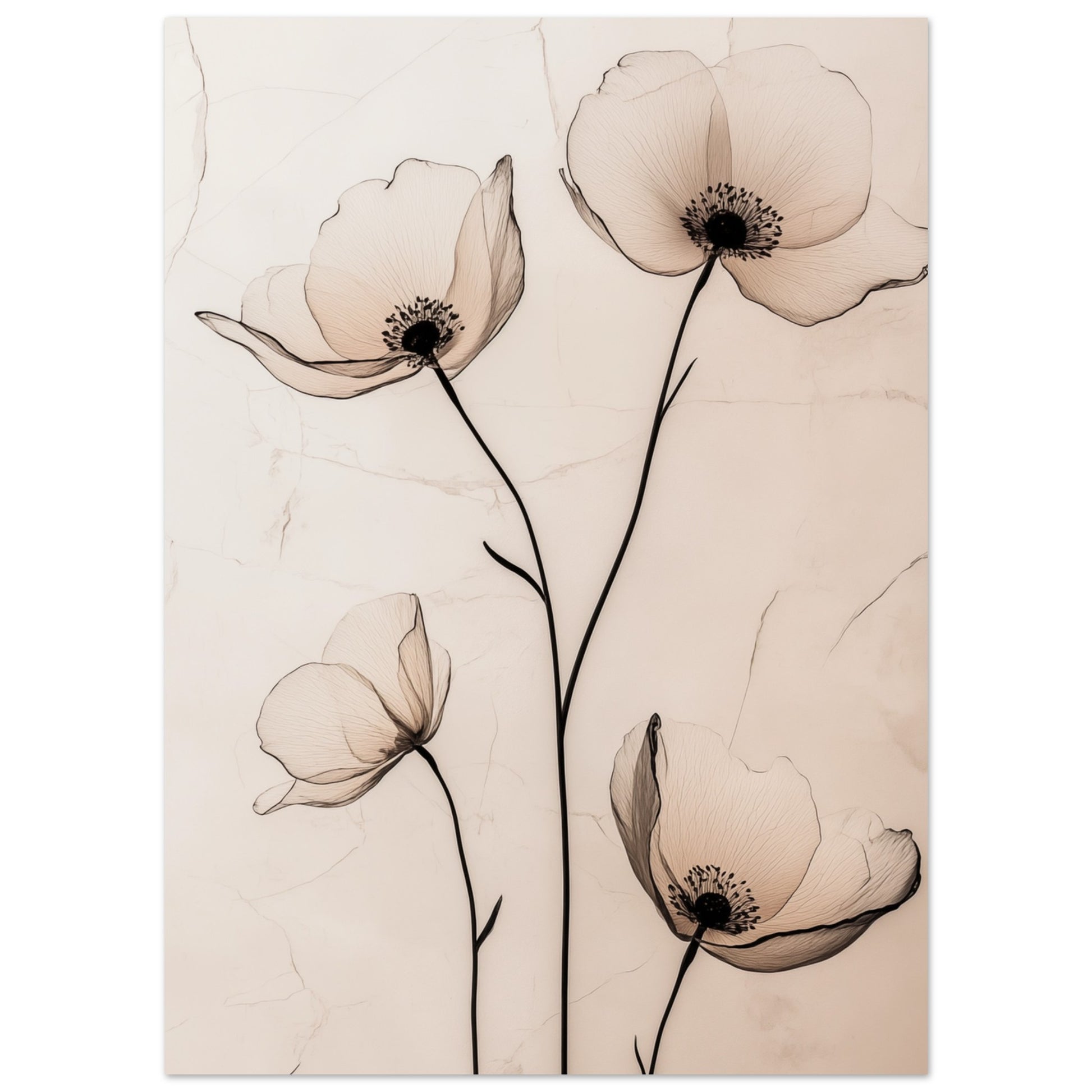 Zarte Mohnblüten 13x18 cm - Pixara