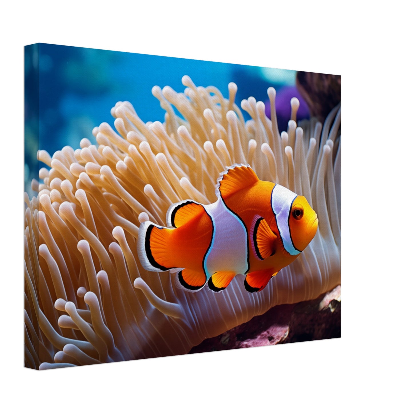 Versteck im Riff Leinwand 30x40 cm - Pixara