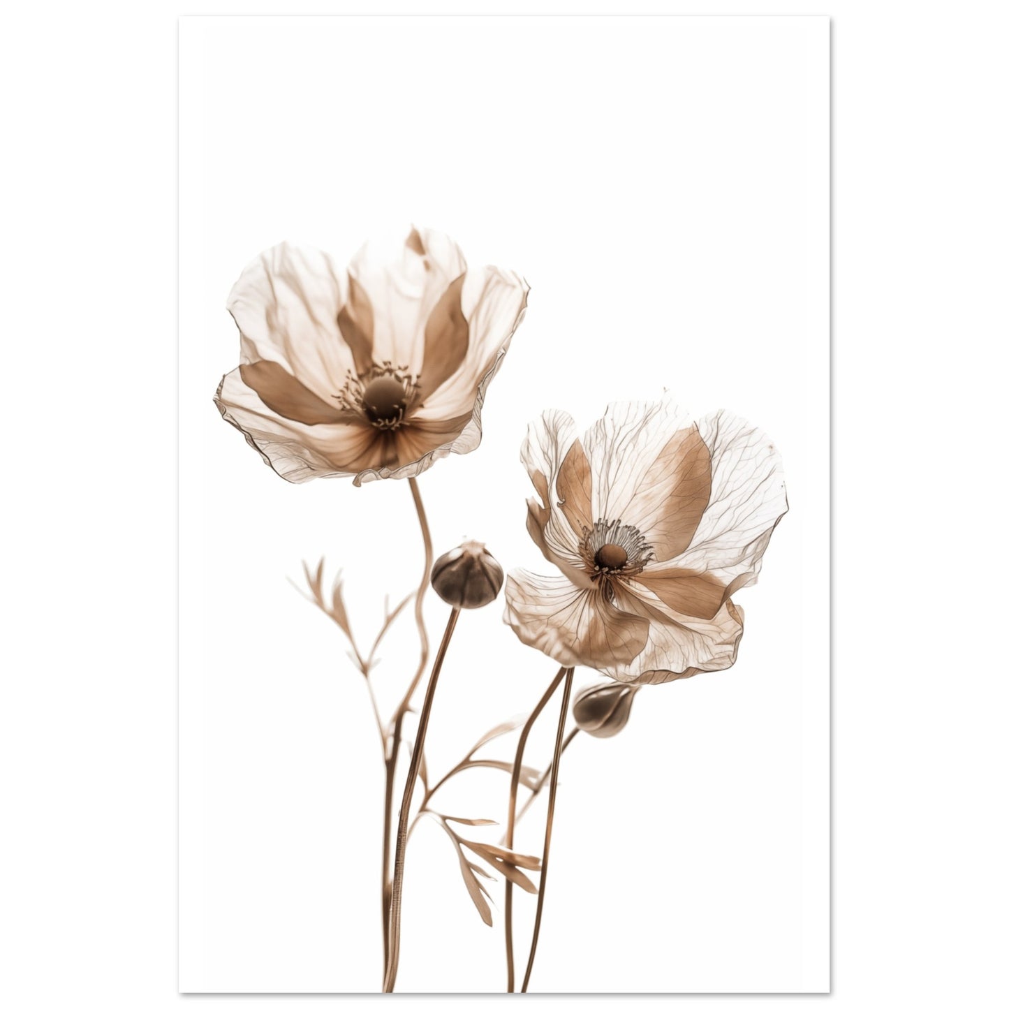 Whispering Petals Poster 60x90 cm - Pixara