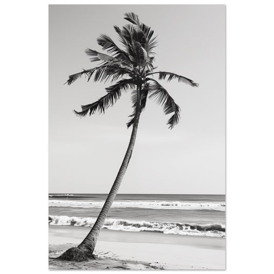 Die einsame Palme 60x90 cm - Pixara