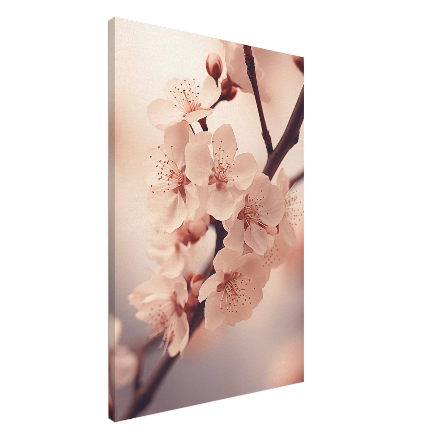 Kirschblüten Leinwand 60x90 cm - Pixara