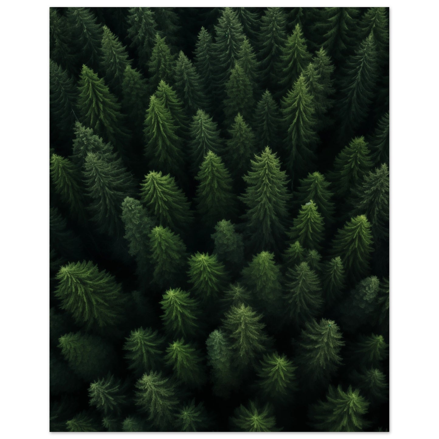 Wald von oben Poster 20x25 cm - Pixara