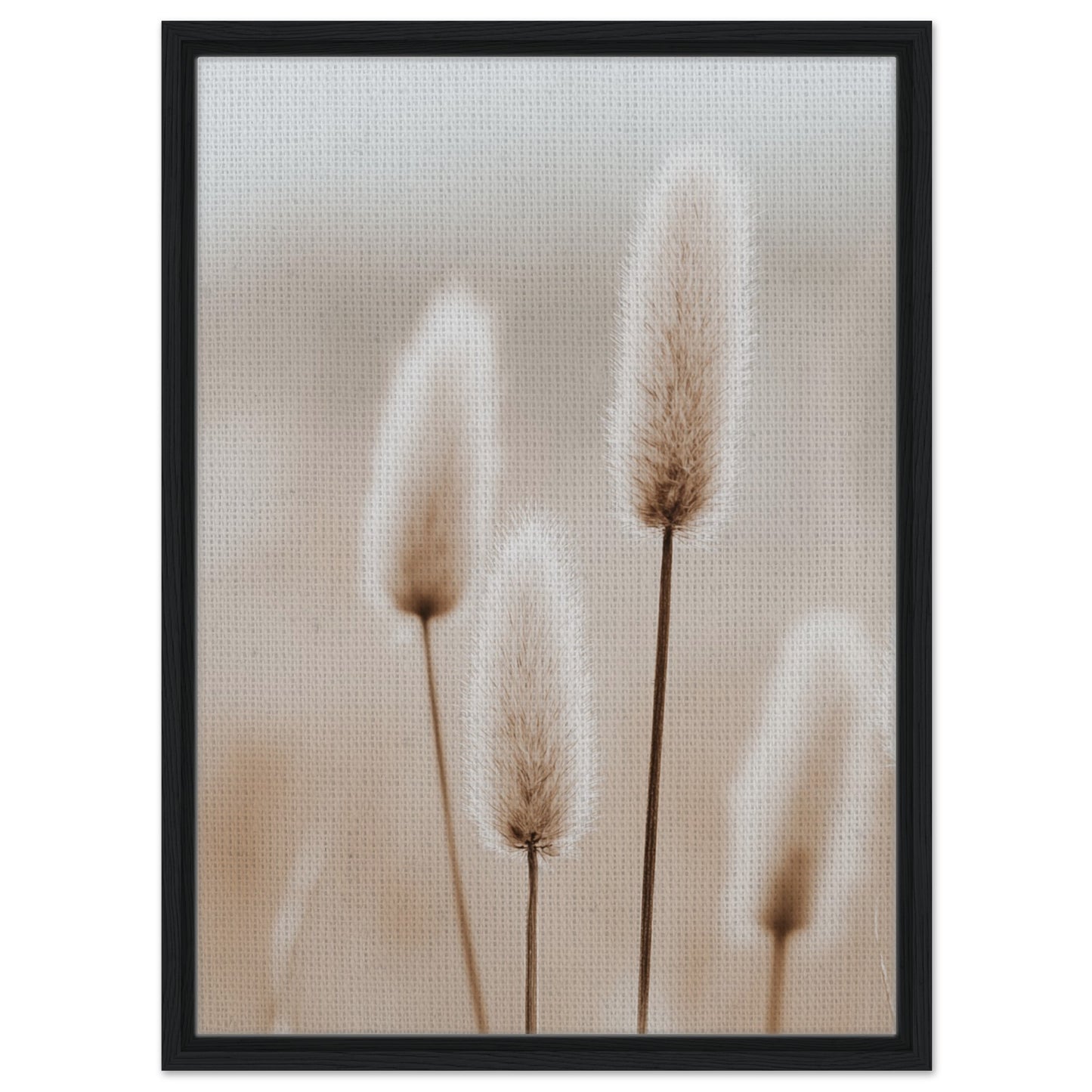 Hasenschwanzgräser in sanften Tönen | Gerahmte Leinwand Schwarzer Rahmen 50x70 cm - Pixara