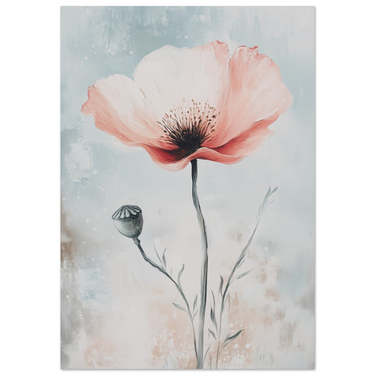 Mohnblume in sanften Farben Poster 70x100 cm - Pixara