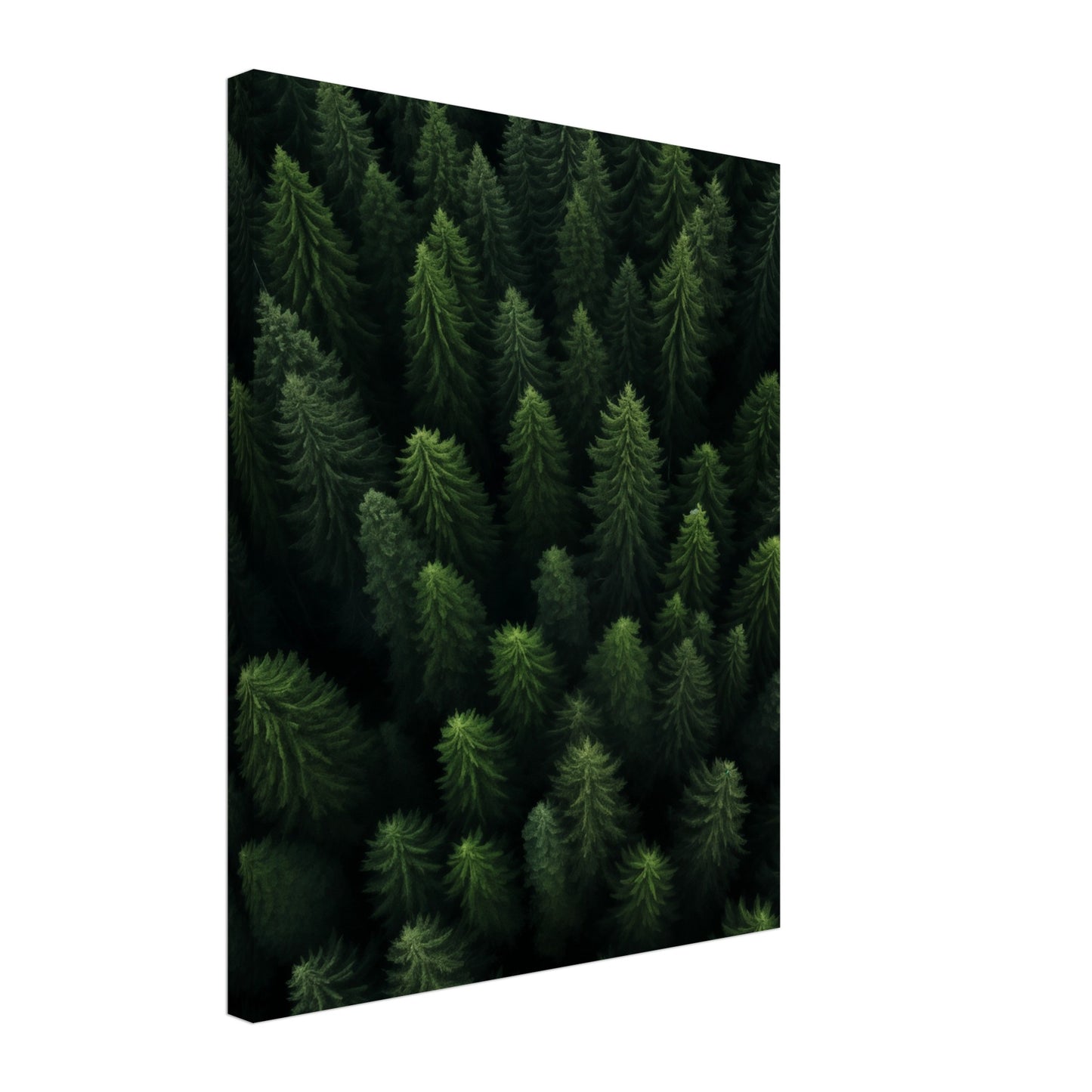Wald von oben Leinwand 40x50 cm - Pixara