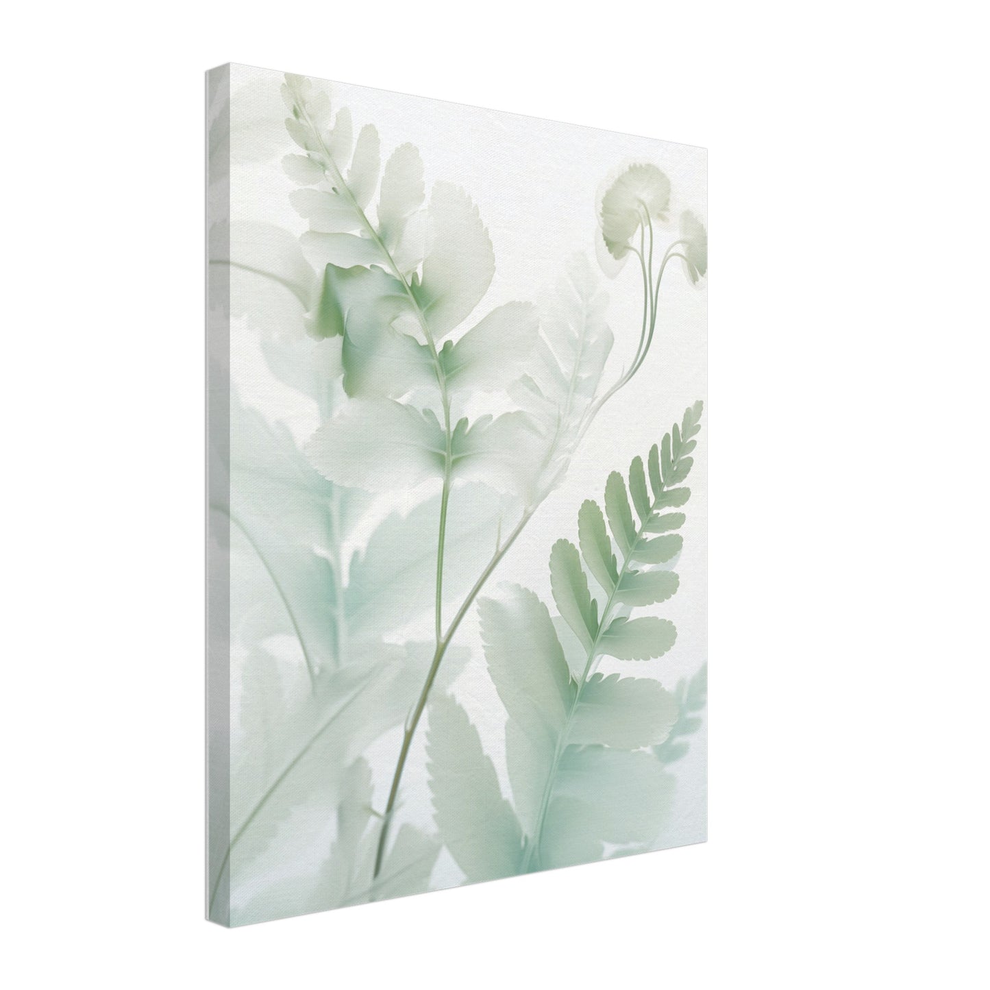 Farn Leinwand 40x50 cm - Pixara