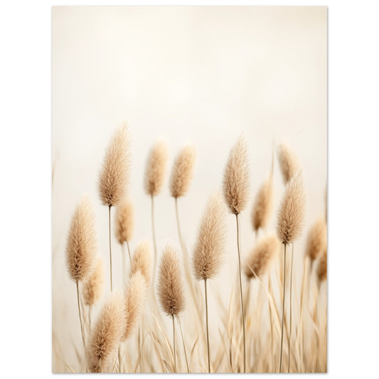 Sanfte Gräser im Sonnenlicht 30x40 cm - Pixara
