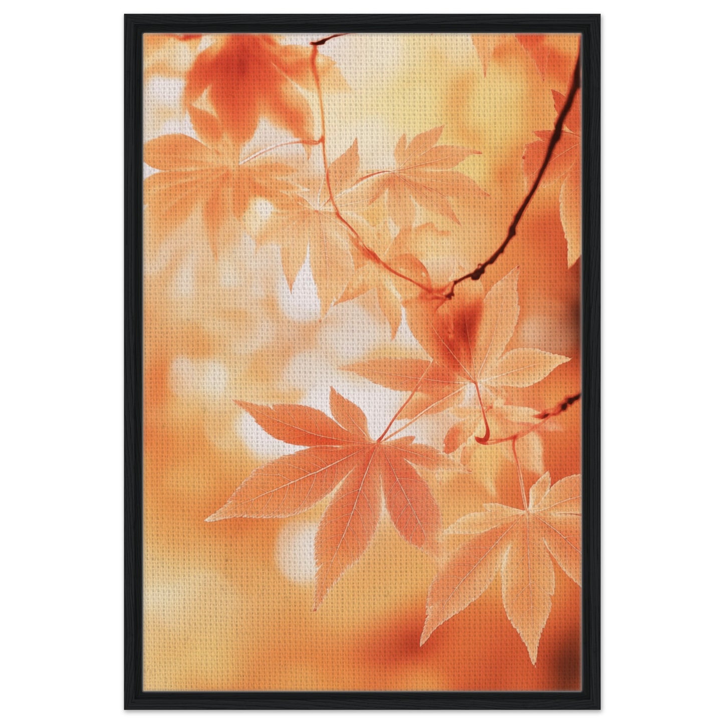 Japanischer Ahorn im Herbstlicht | Gerahmte Leinwand Schwarzer Rahmen 60x90 cm - Pixara