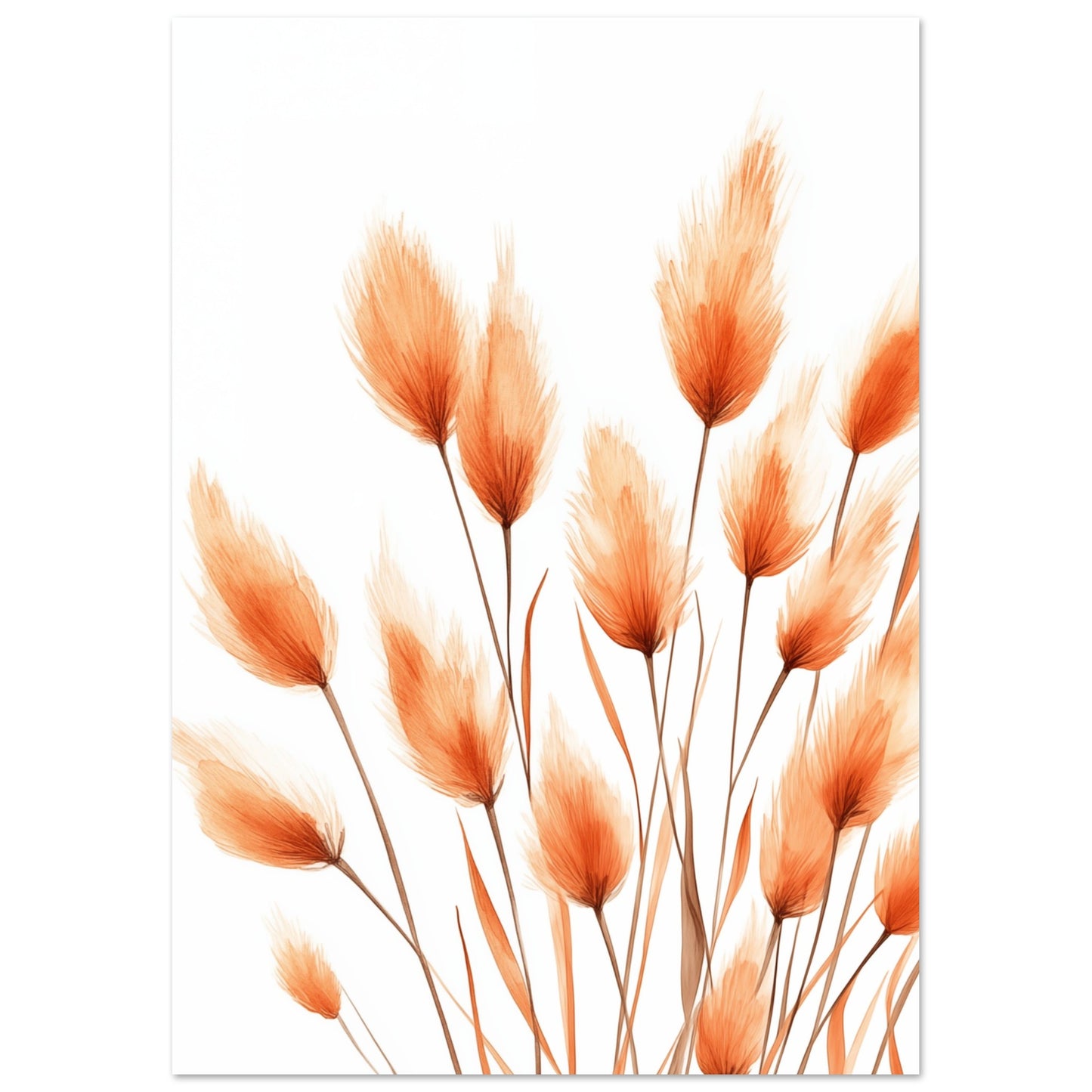 Orangene Hasenschwanzgräser A4 21x29.7 cm - Pixara
