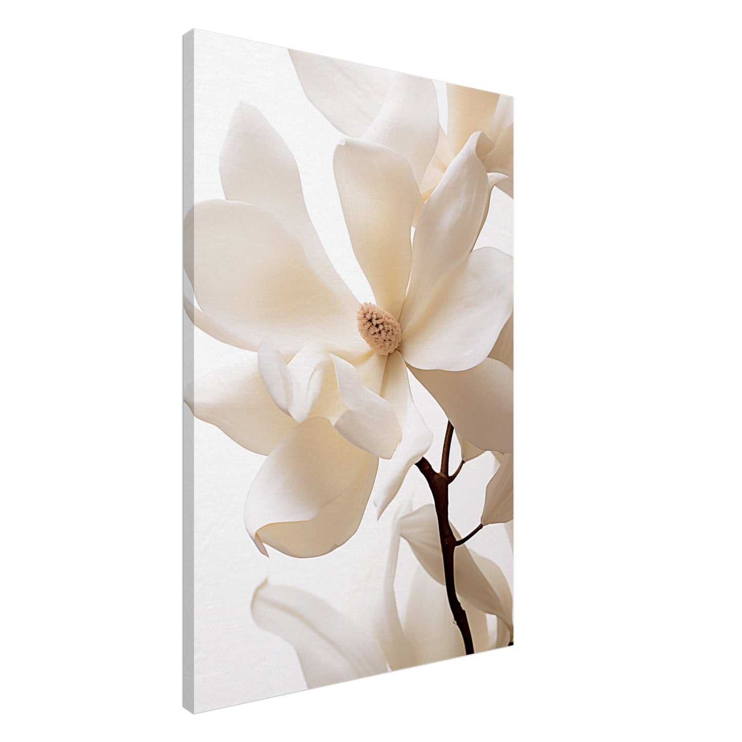 Reine Eleganz Leinwand 60x90 cm - Pixara