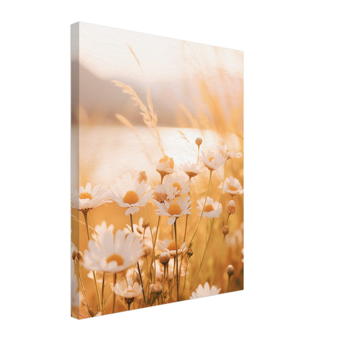 Abendleuchten Leinwand 40x50 cm - Pixara