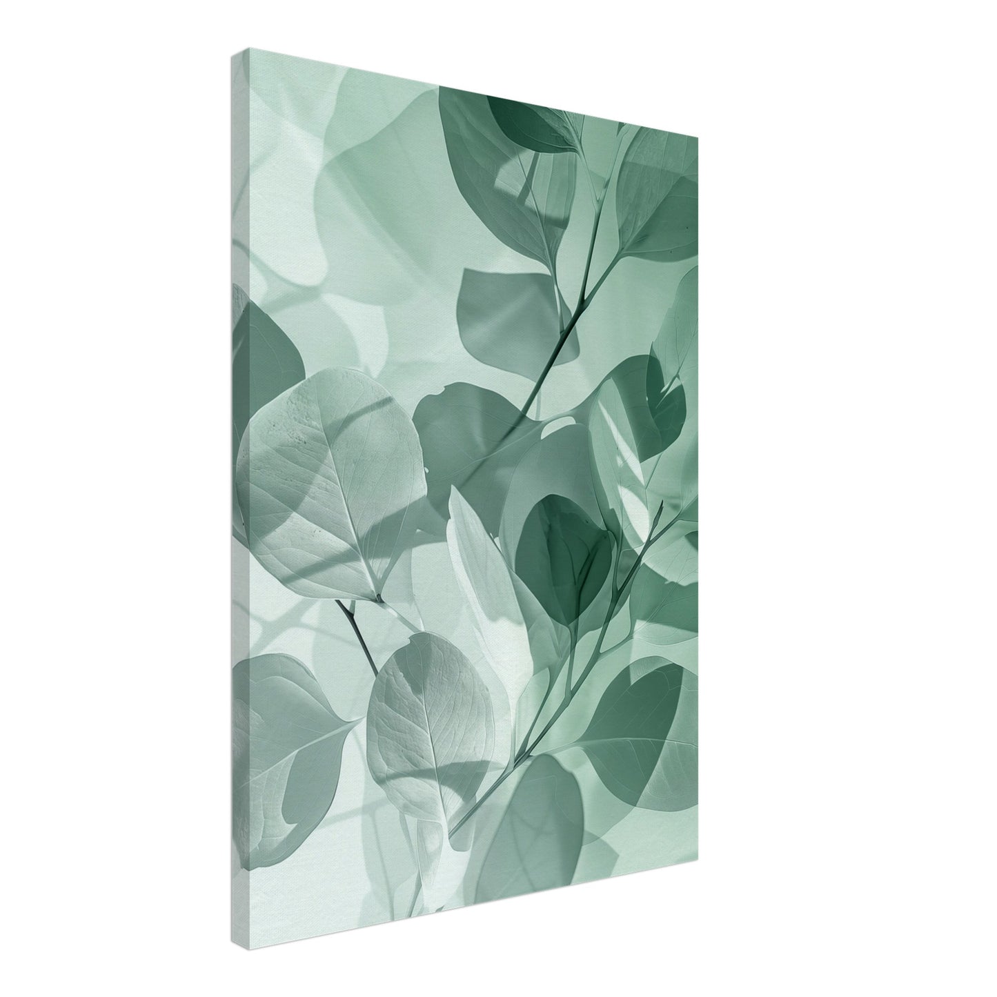 Eukalyptus-Träume Leinwand 50x70 cm - Pixara