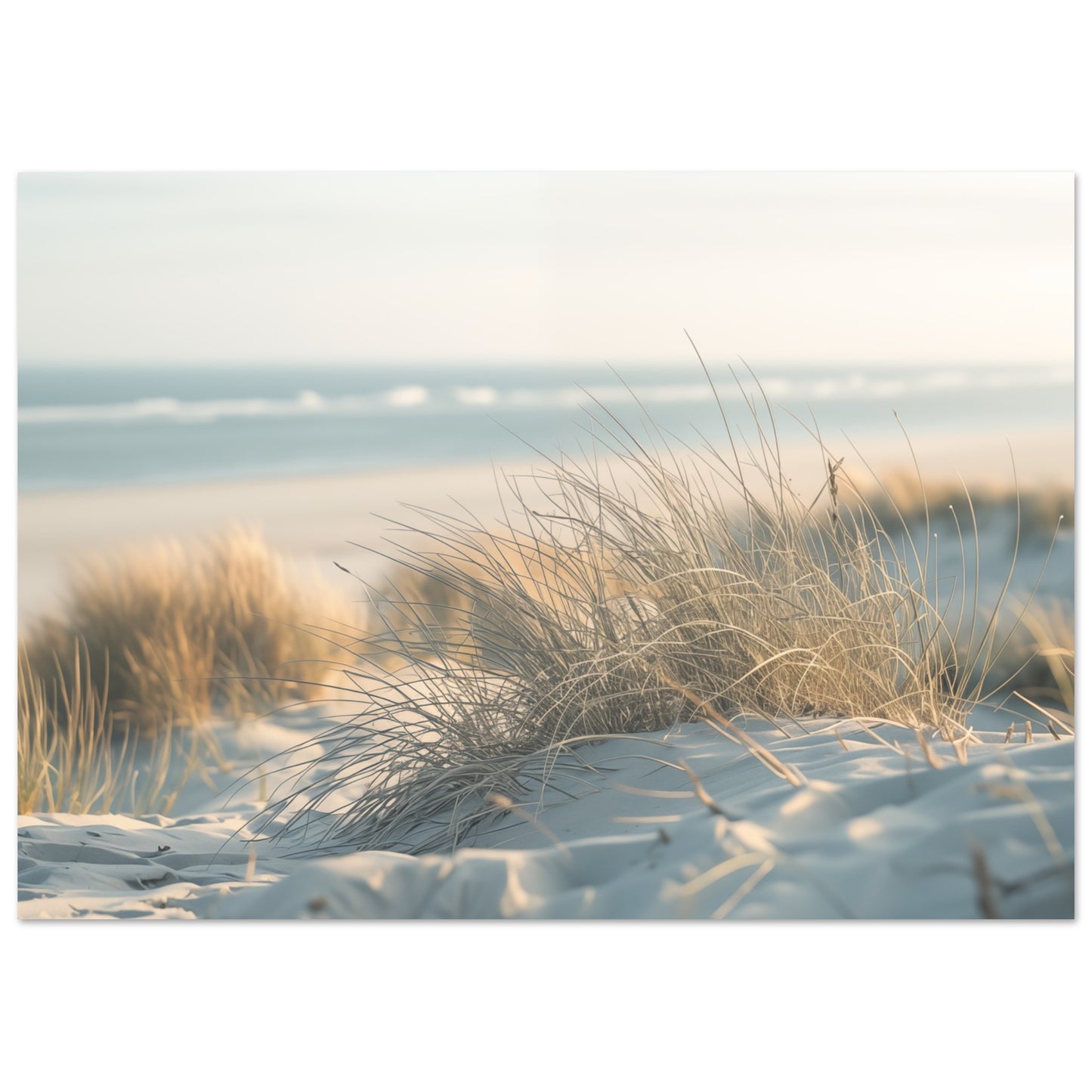 Sand und Schilf Poster A4 21x29.7 cm - Pixara
