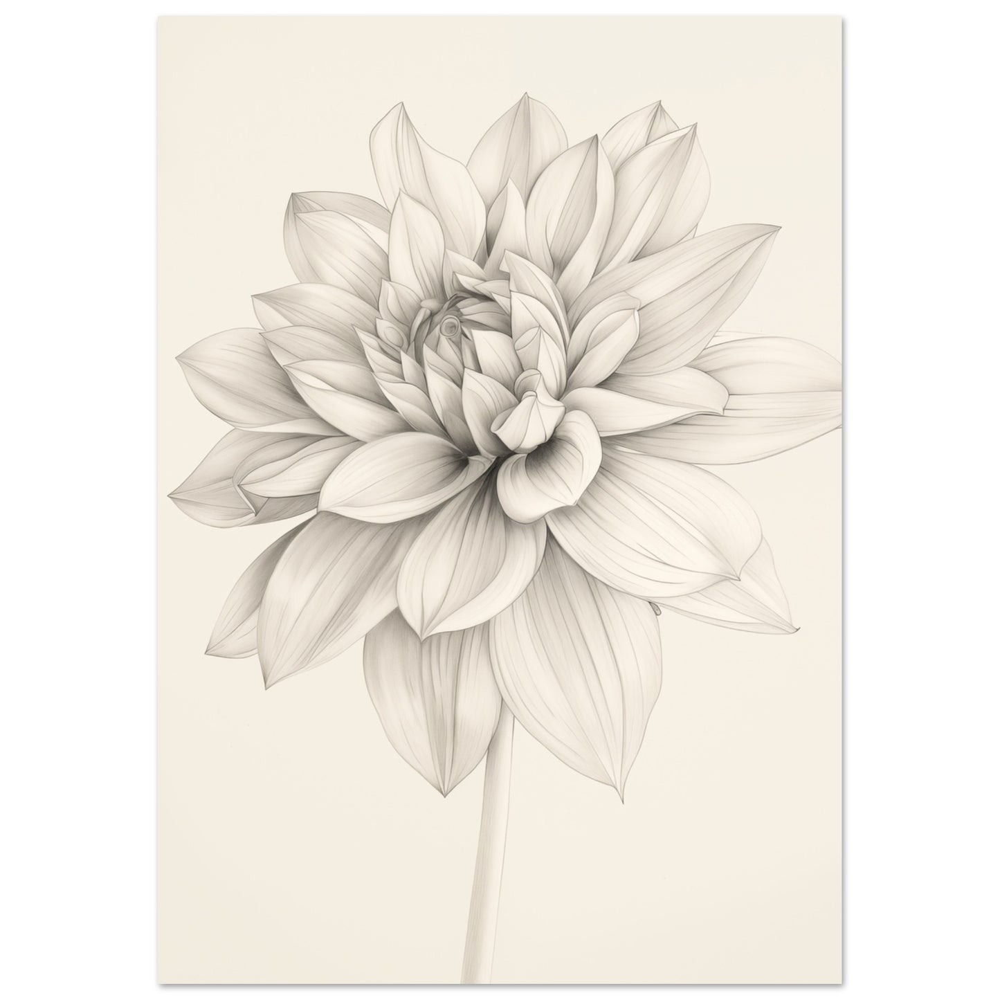 Dahlienzauber A4 21x29.7 cm - Pixara