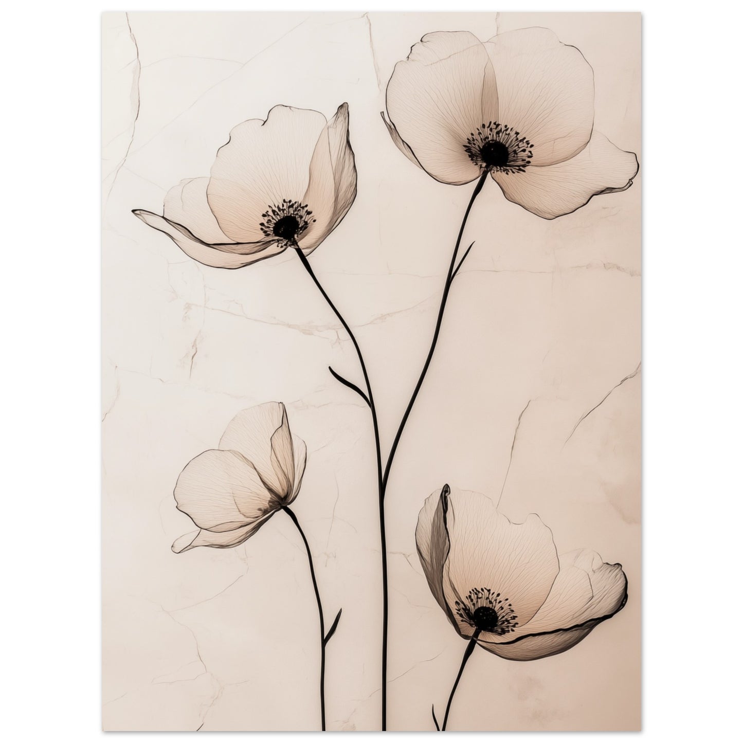 Zarte Mohnblüten 30x40 cm - Pixara