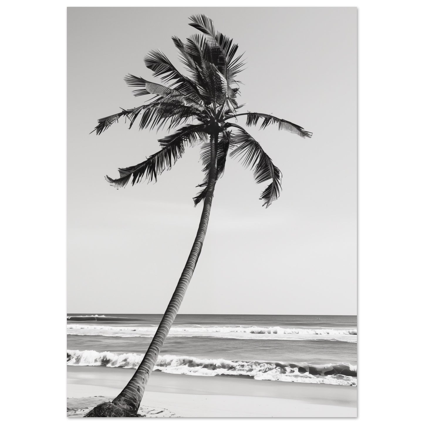 Die einsame Palme A4 21x29.7 cm - Pixara