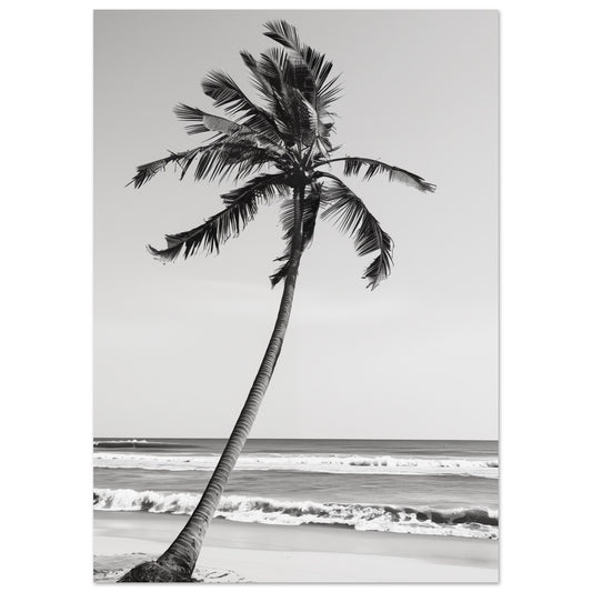 Die einsame Palme A4 21x29.7 cm - Pixara