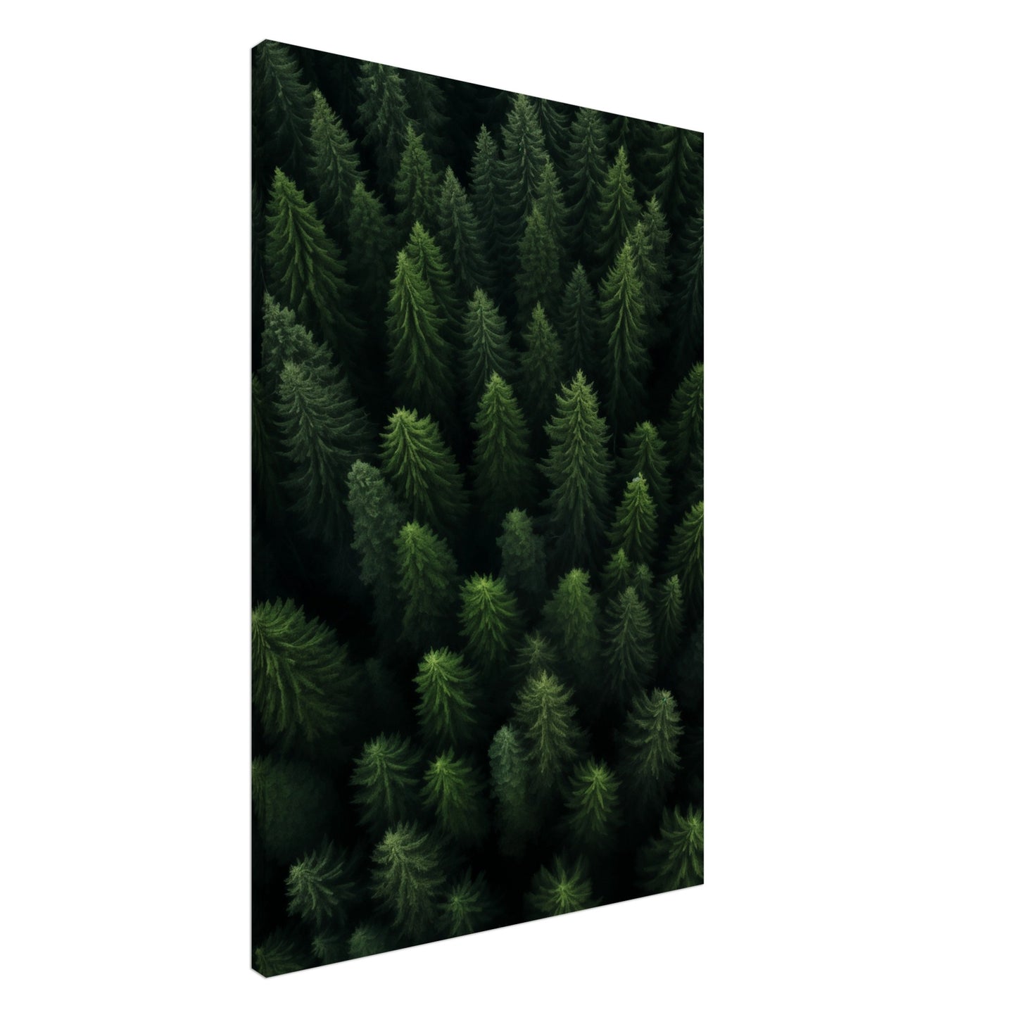 Wald von oben Leinwand 60x90 cm - Pixara