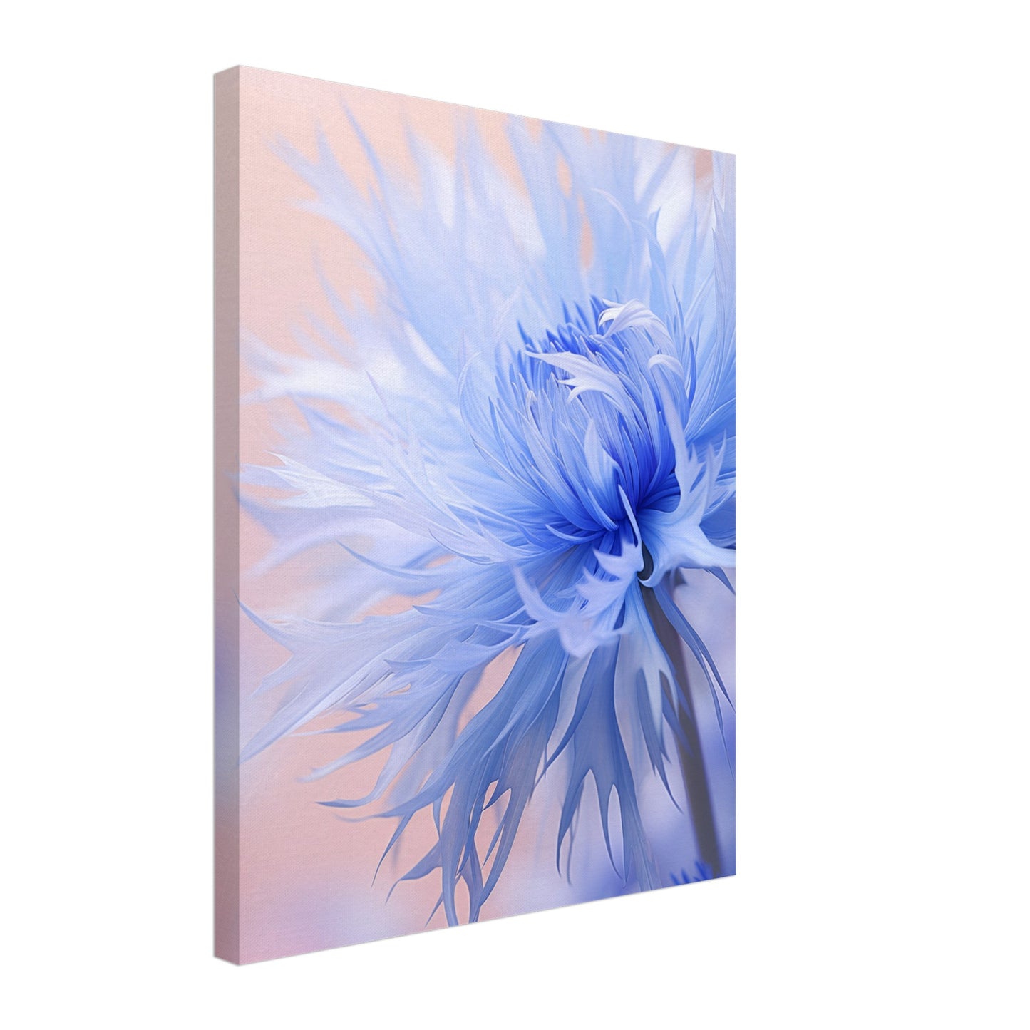 Kornblume Leinwand 40x50 cm - Pixara