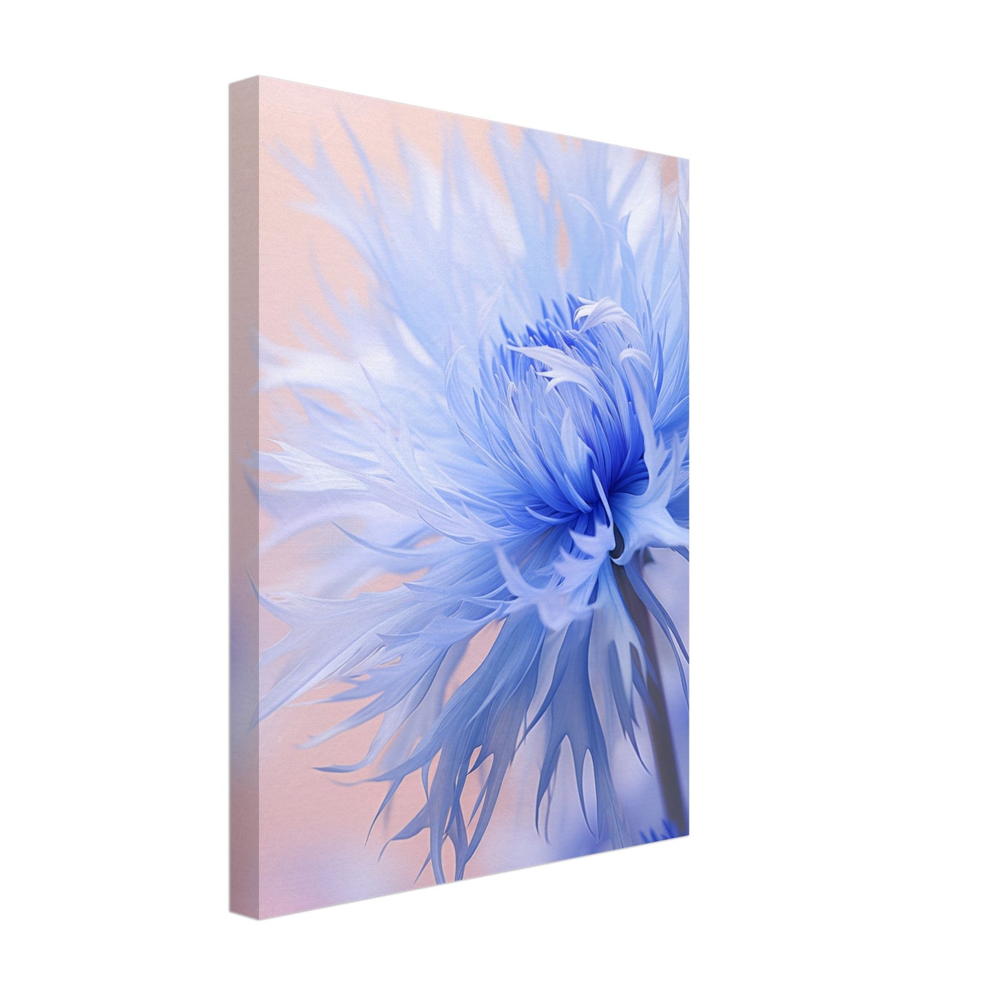 Kornblume Leinwand 30x40 cm - Pixara