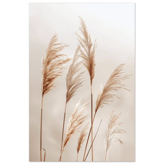 Weiche Gräser im Wind 60x90 cm - Pixara