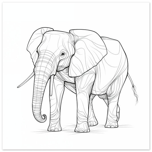 Gentle Giant Poster 50x50 cm - Pixara