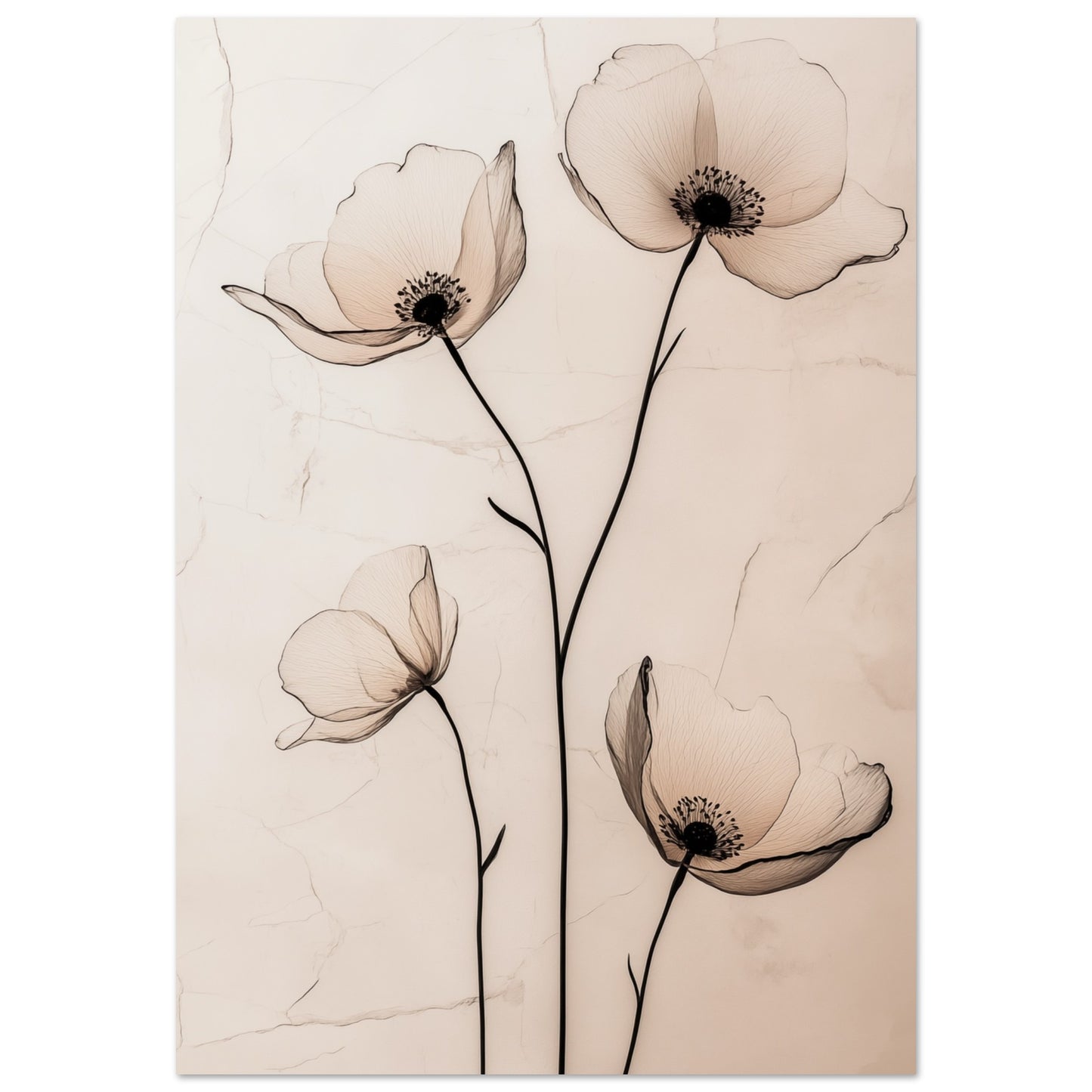 Zarte Mohnblüten 70x100 cm - Pixara