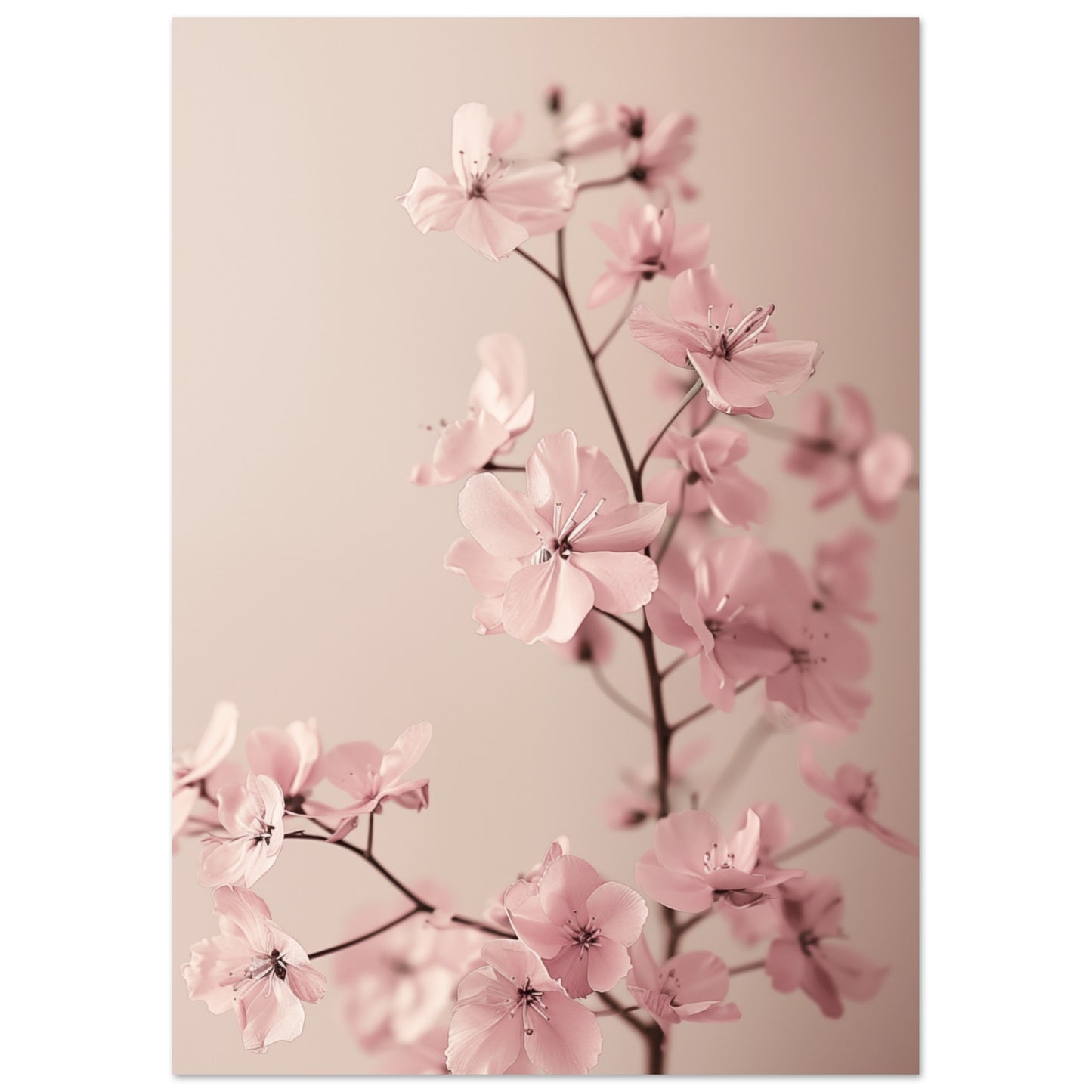 Zarte Blüten A4 21x29.7 cm - Pixara