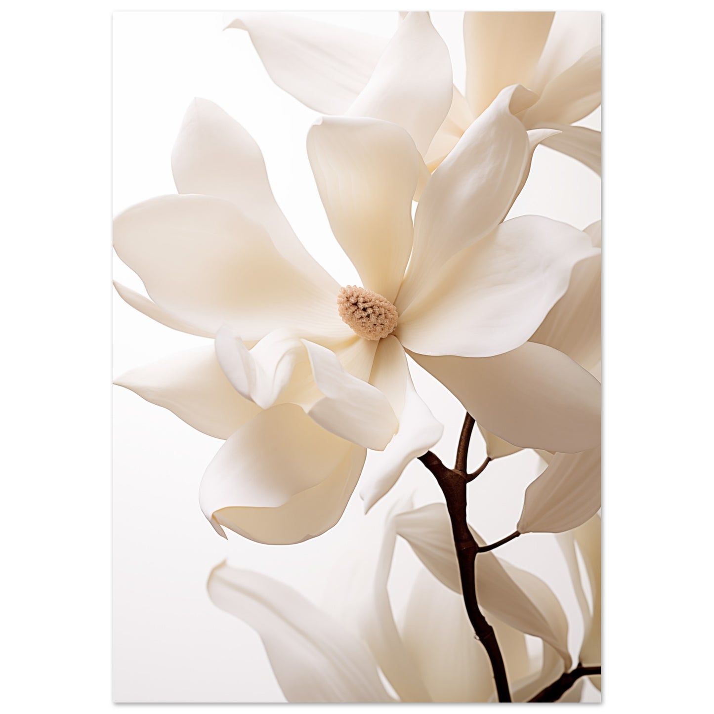 Reine Eleganz Poster A4 21x29.7 cm - Pixara