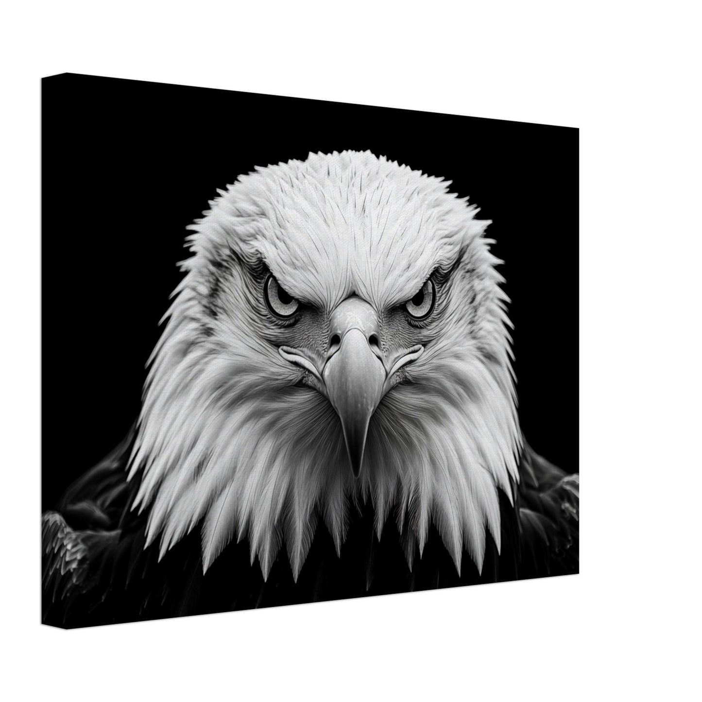 Schwarz-Weiß Porträt eines majestätischen Adlers Leinwand 30x40 cm - Pixara