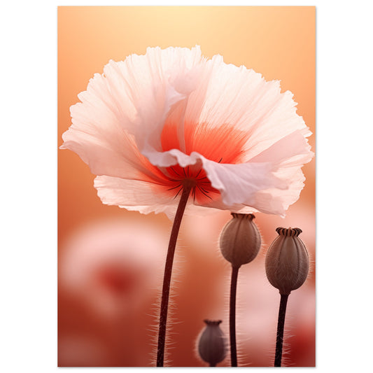 Sanfte Entfaltung Poster 50x70 cm - Pixara