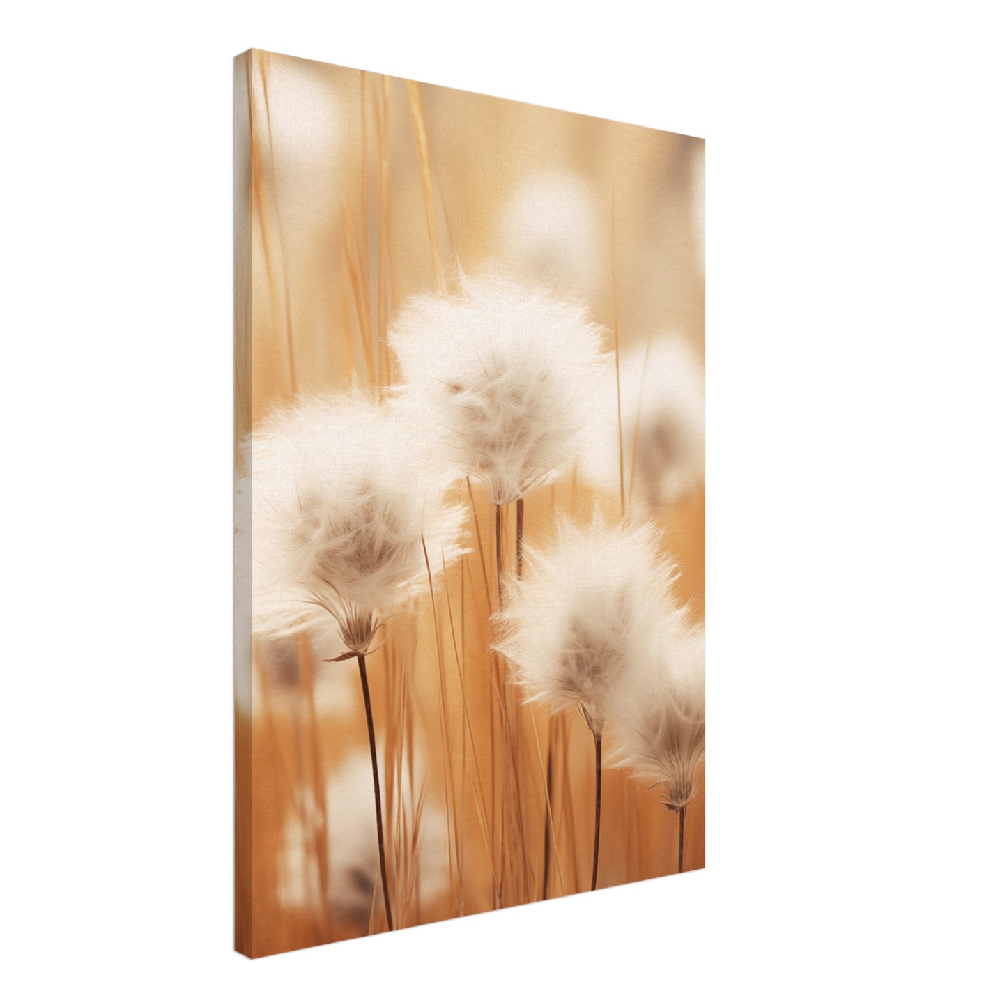 Cotton Calm Leinwand 50x70 cm - Pixara